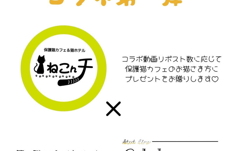 ねこんチさんコラボ